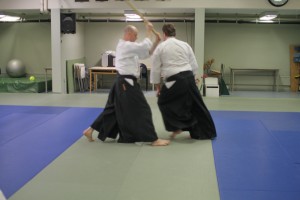 Aikido image